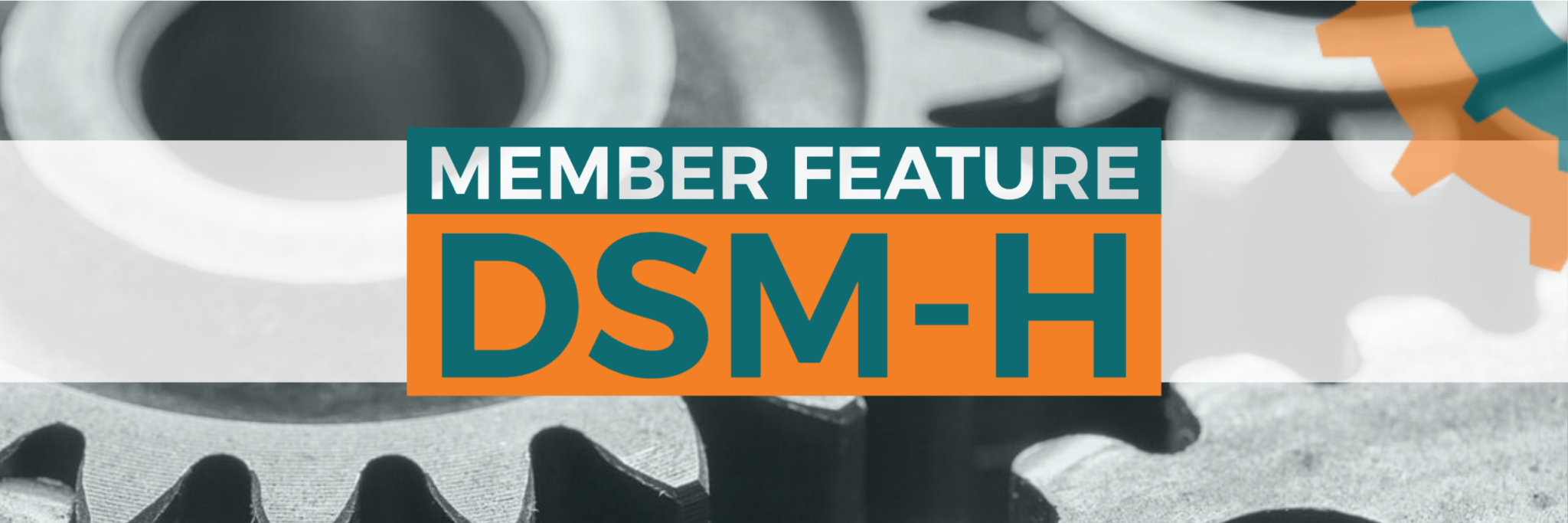 Member Feature – DSM-H